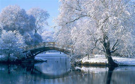 Winter 2022 Jewel Box Inspiration